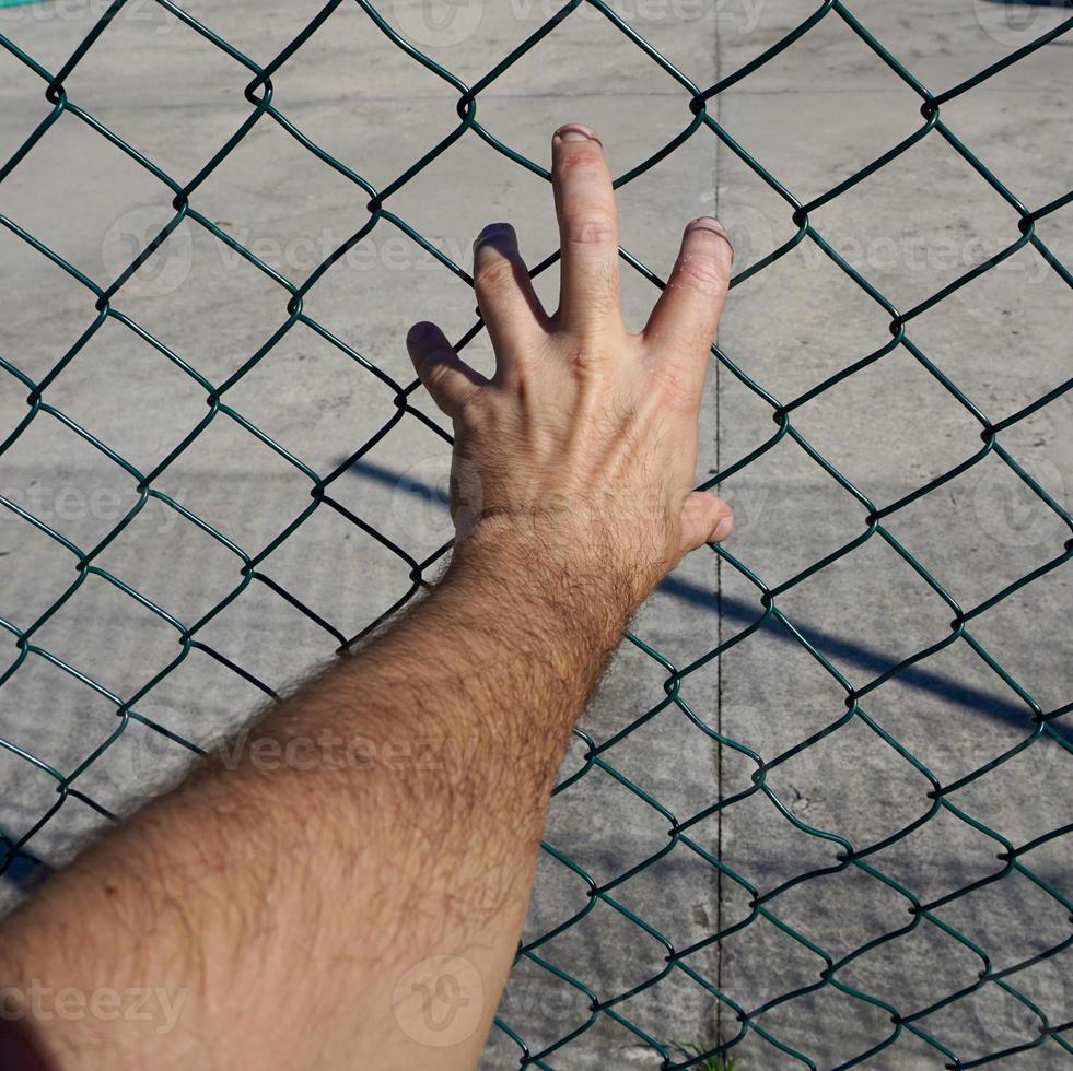 hand reaching a metallic fence photo