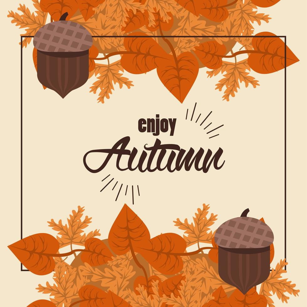 enjoy autumn lettering with leafs and nuts square frame vector