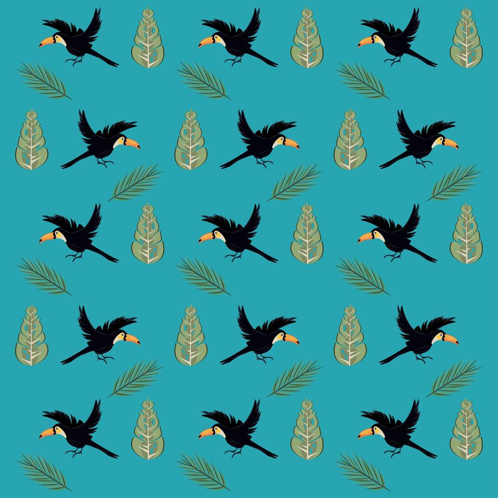 wild toucans flying birds pattern background vector