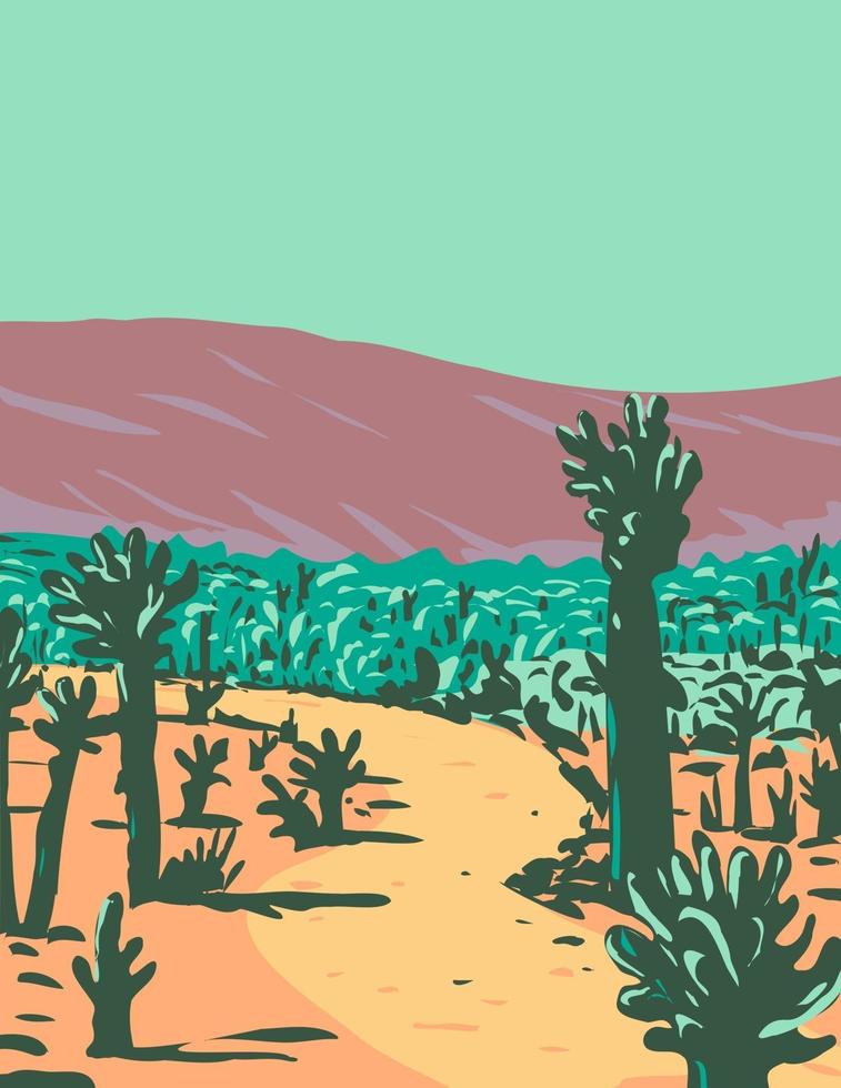 Cholla cactus garden sendero natural cerca de las aguas termales del desierto ubicado en el parque nacional joshua tree en california wpa poster art vector