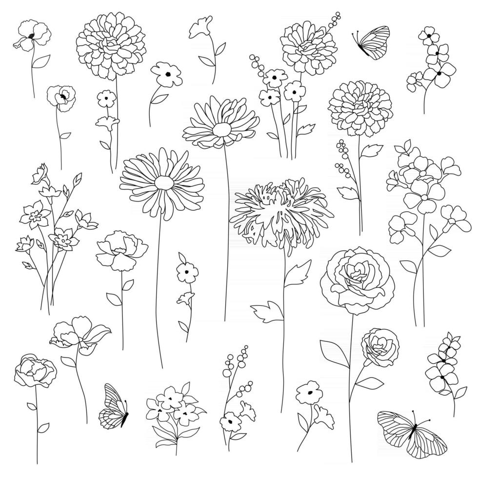 hand drawn botanical flowers black outline drawings vector