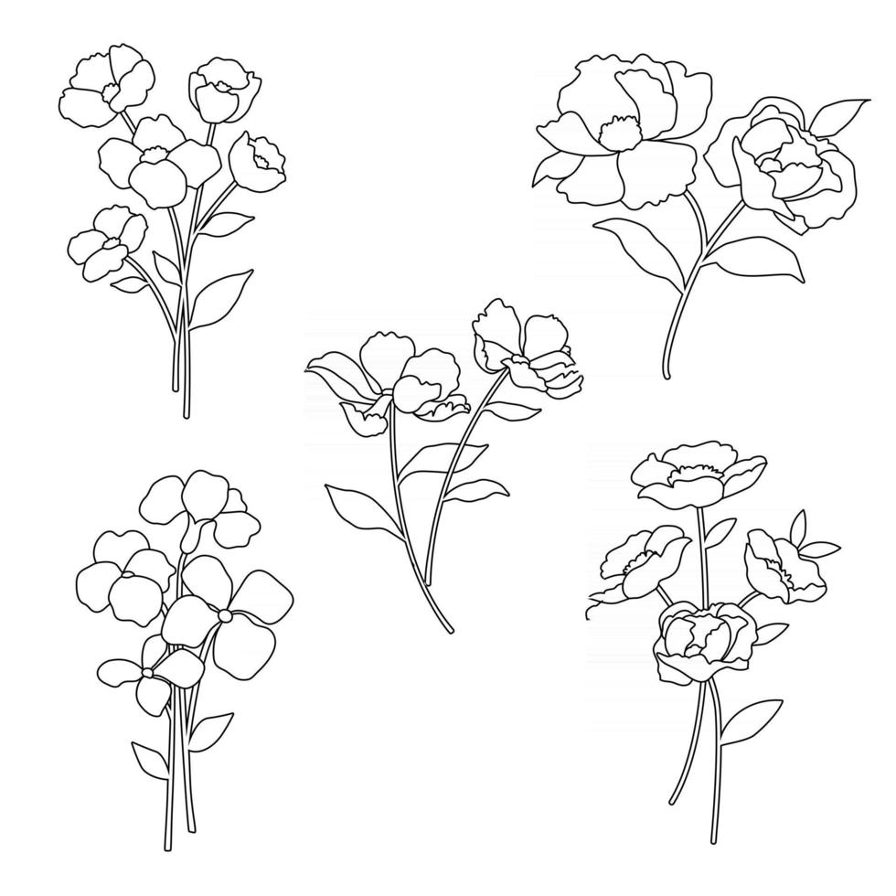 hand drawn botanical flowers black outline vector