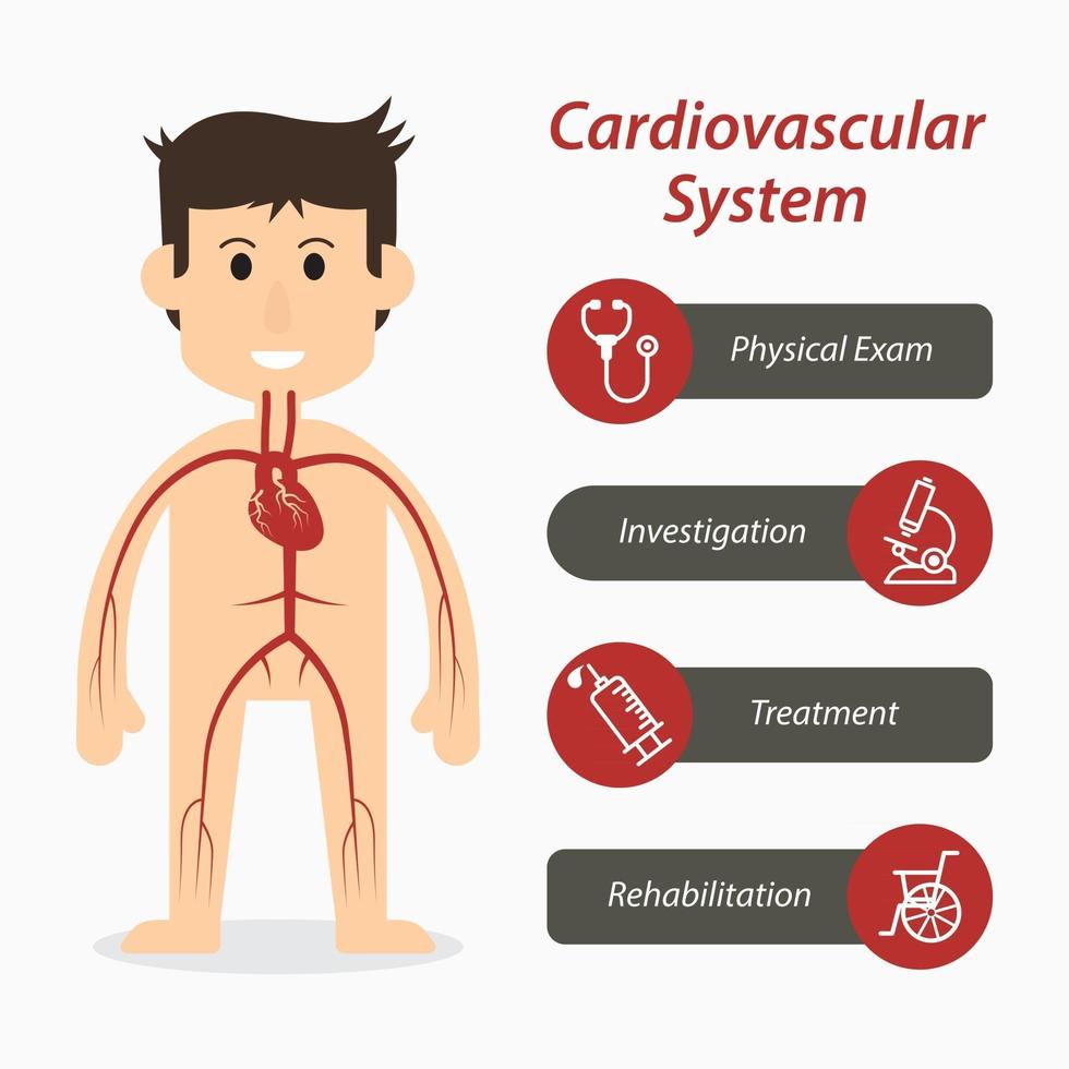 icono de línea médica y sistema cardiovascular vector