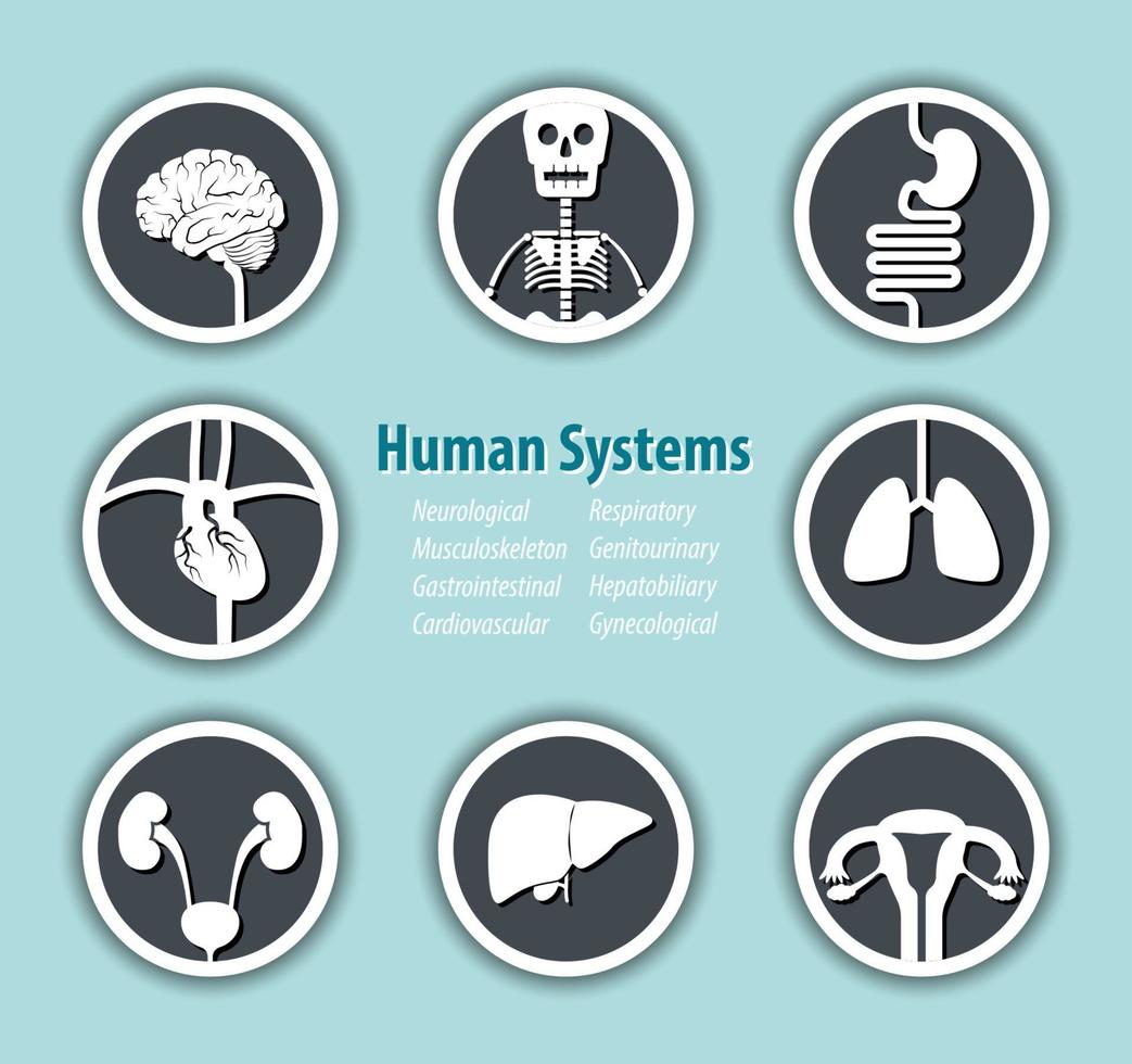Human Systems Icon   Neurological  Musculoskeleton  Gastrointestinal  Cardiovascular  Respiratory  Genitourinary  Hepatobiliary  Gynecological vector