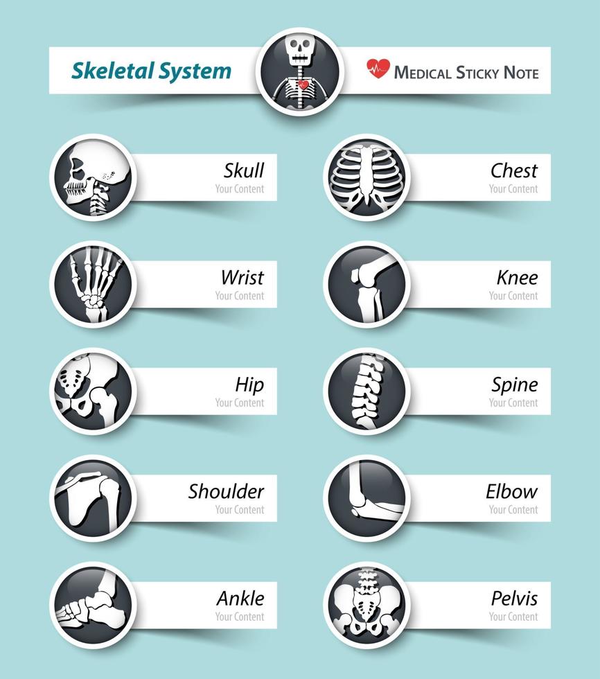 icono de hueso del sistema esquelético y nota adhesiva vector