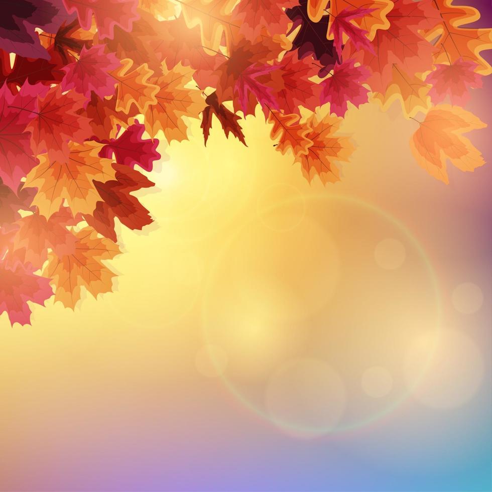 fondo de banner de hojas de otoño brillante vector