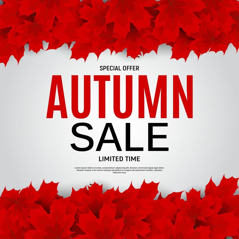 Shiny Autumn Leaves Sale Banner Business Discount Card vector