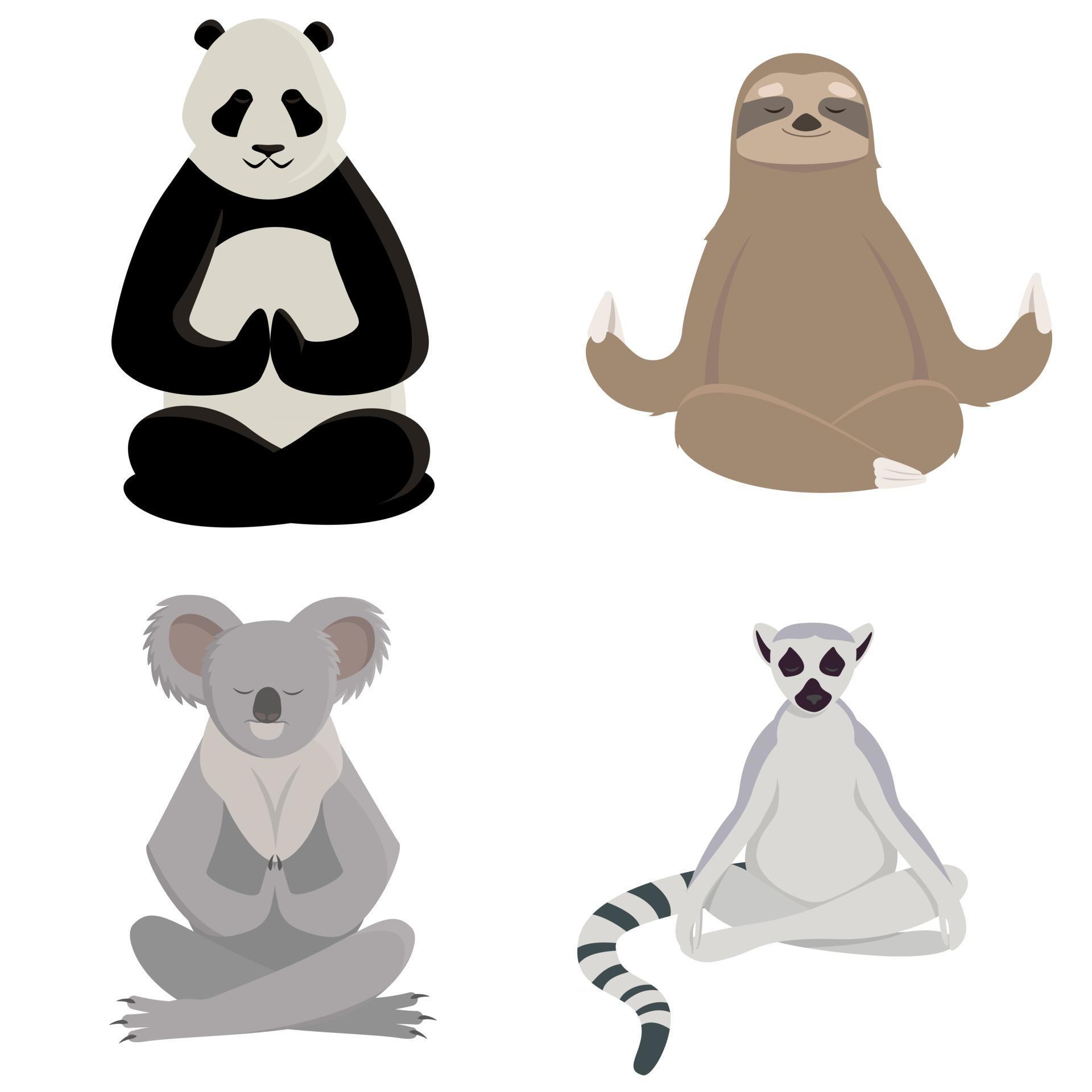 Animals doing yoga 2462156 Vector Art at Vecteezy