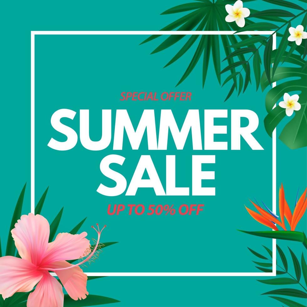 cartel de venta de verano fondo natural con palmeras tropicales y hojas de monstera flor exótica vector