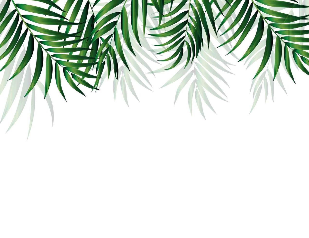fondo de palmeras naturales tropicales vector