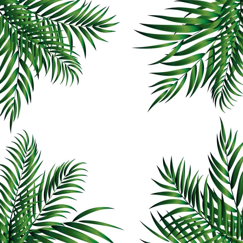 Tropical Natural Palm Background vector