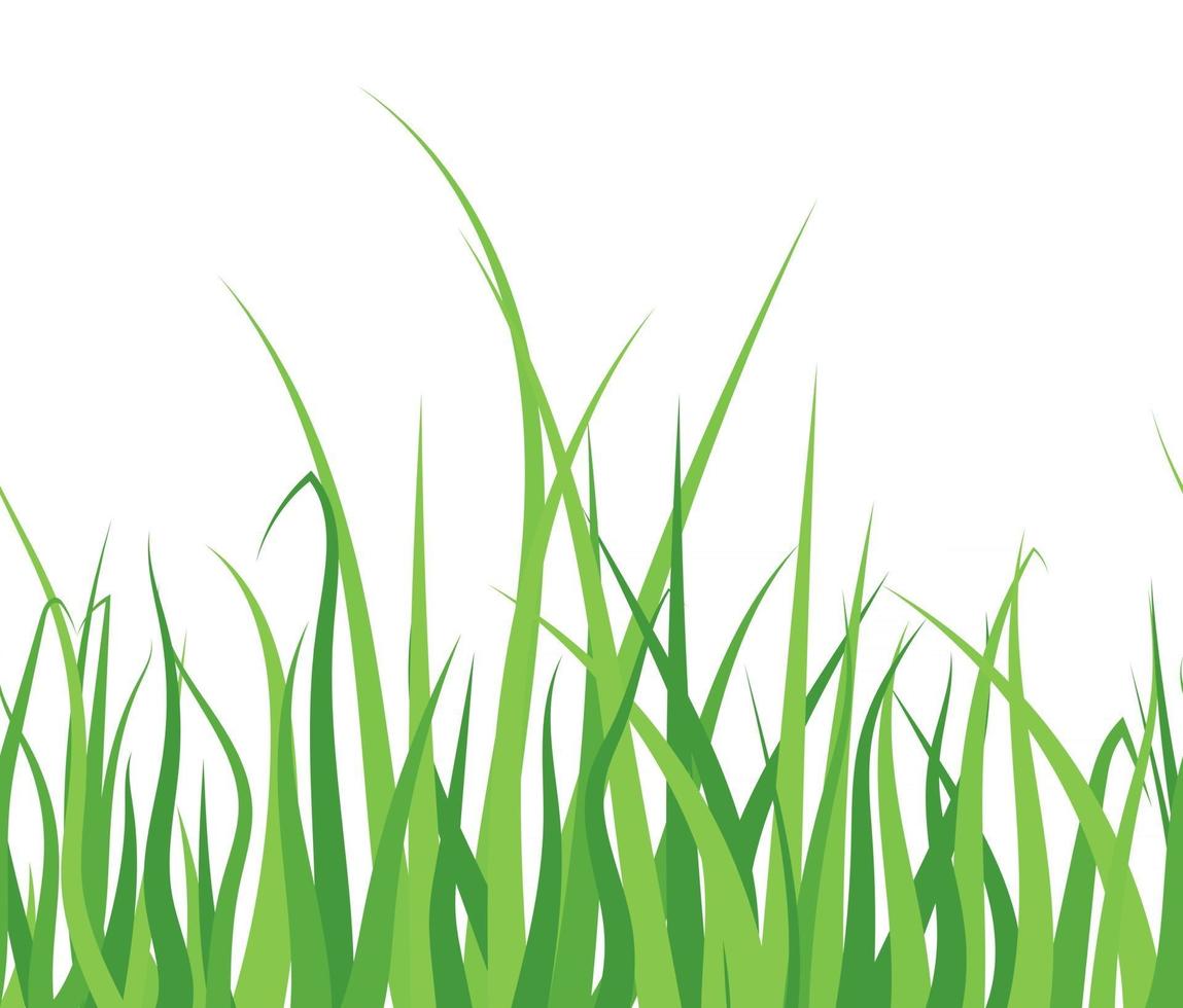 Green grass on white background vector