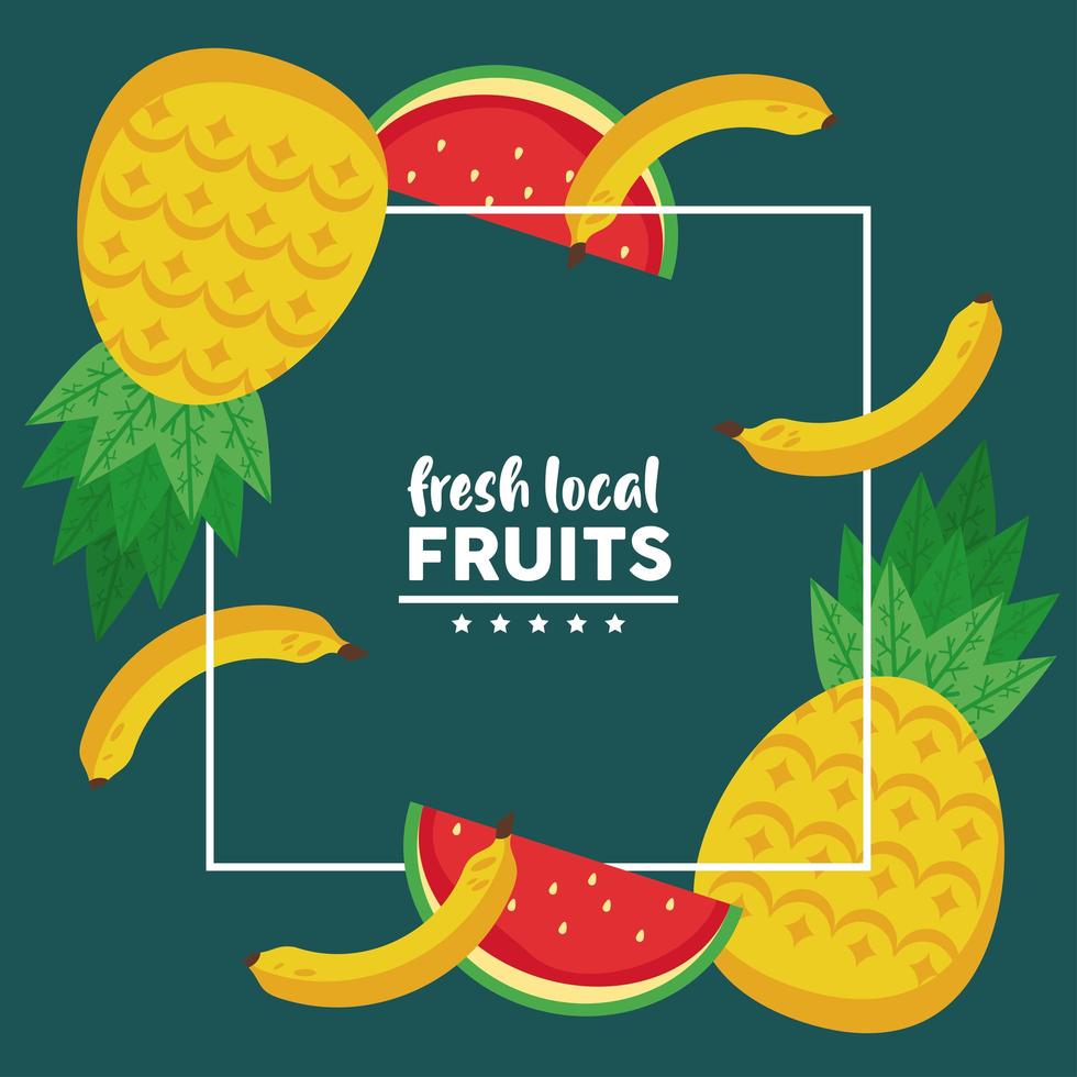 Frutas locales frescas con sandías y piñas en fondo verde vector