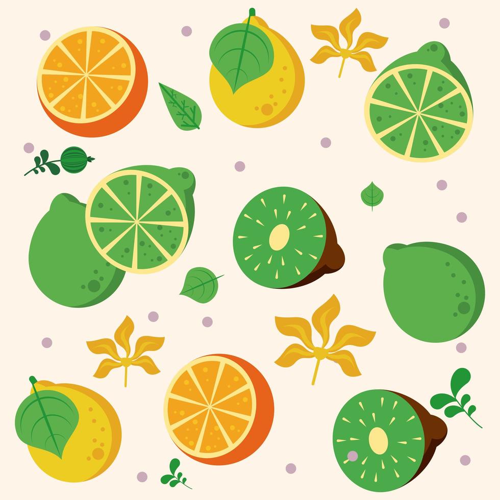 fresh local fruits with oranges and kiwis pattern vector