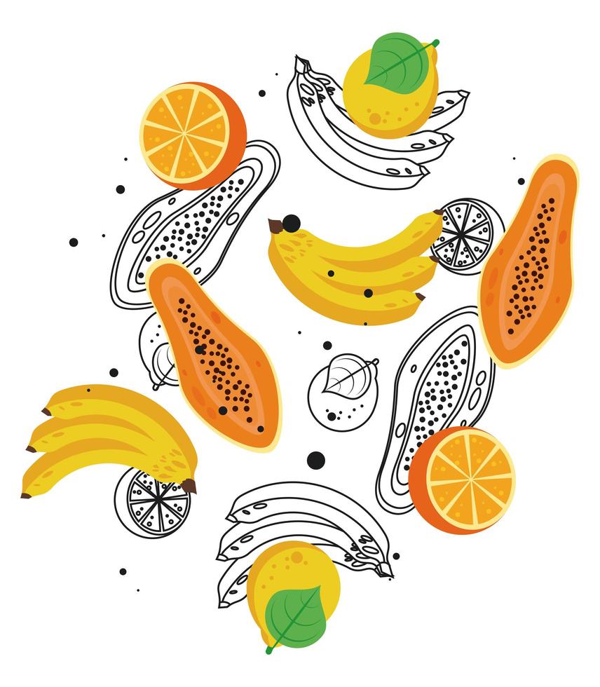 fresh local fruits with bananas and papayas in white background vector