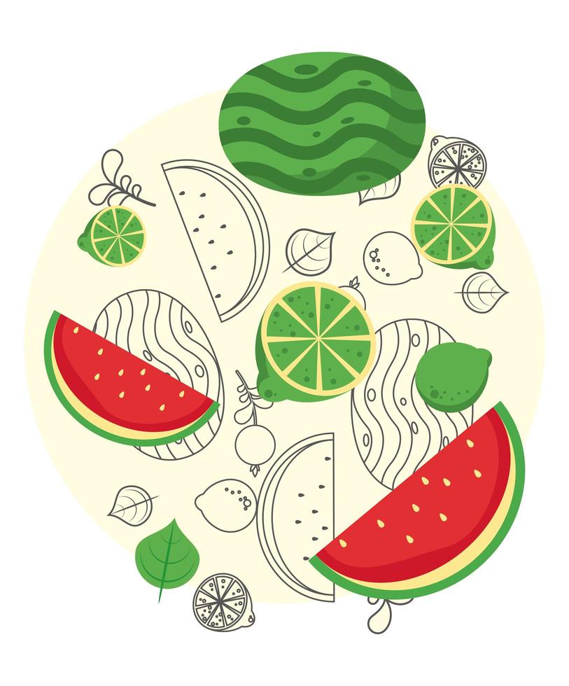 fresh local fruits with watermelon in white background vector