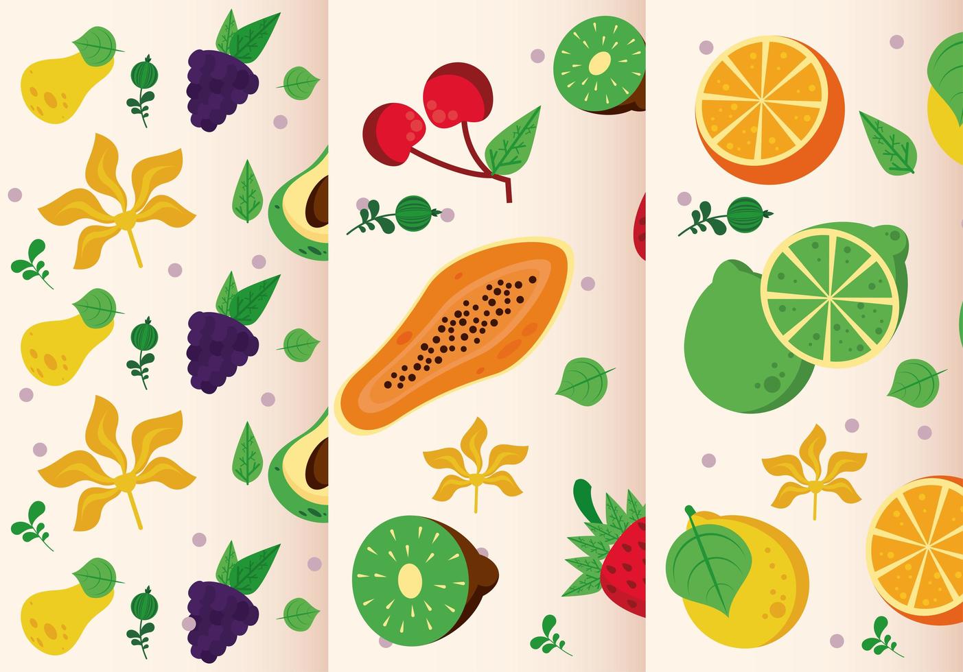 fresh local fruits set of patterns vector