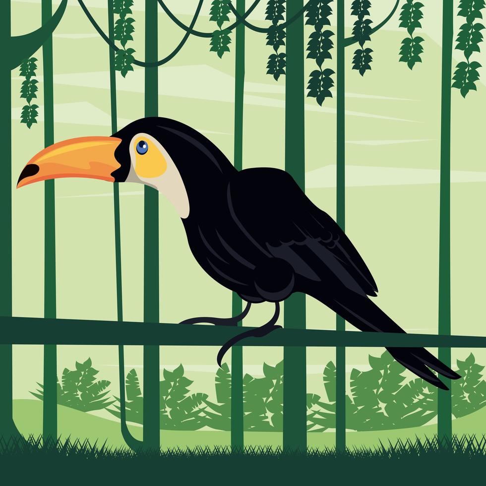 wild toucan bird animal in the jungle vector