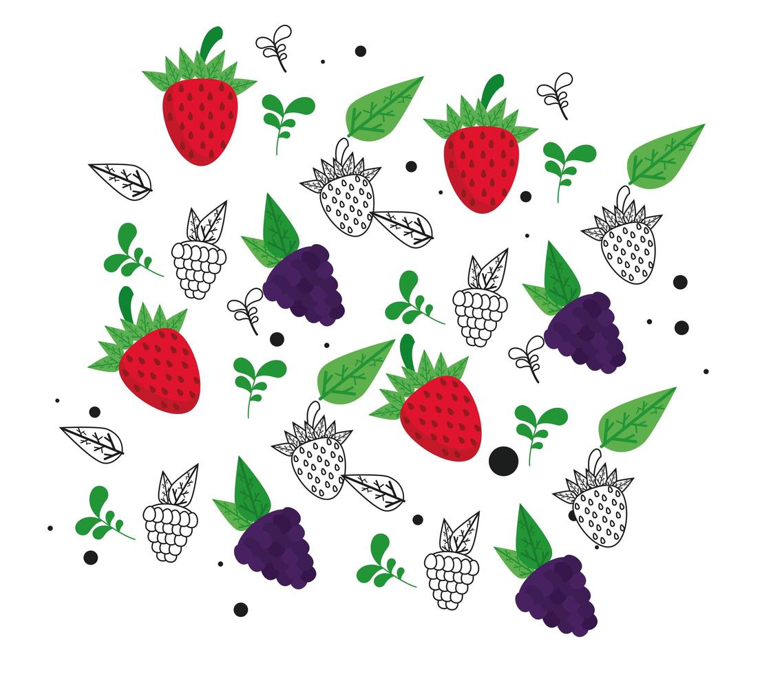 fresh local fruits with grapes and strawberries in white background vector