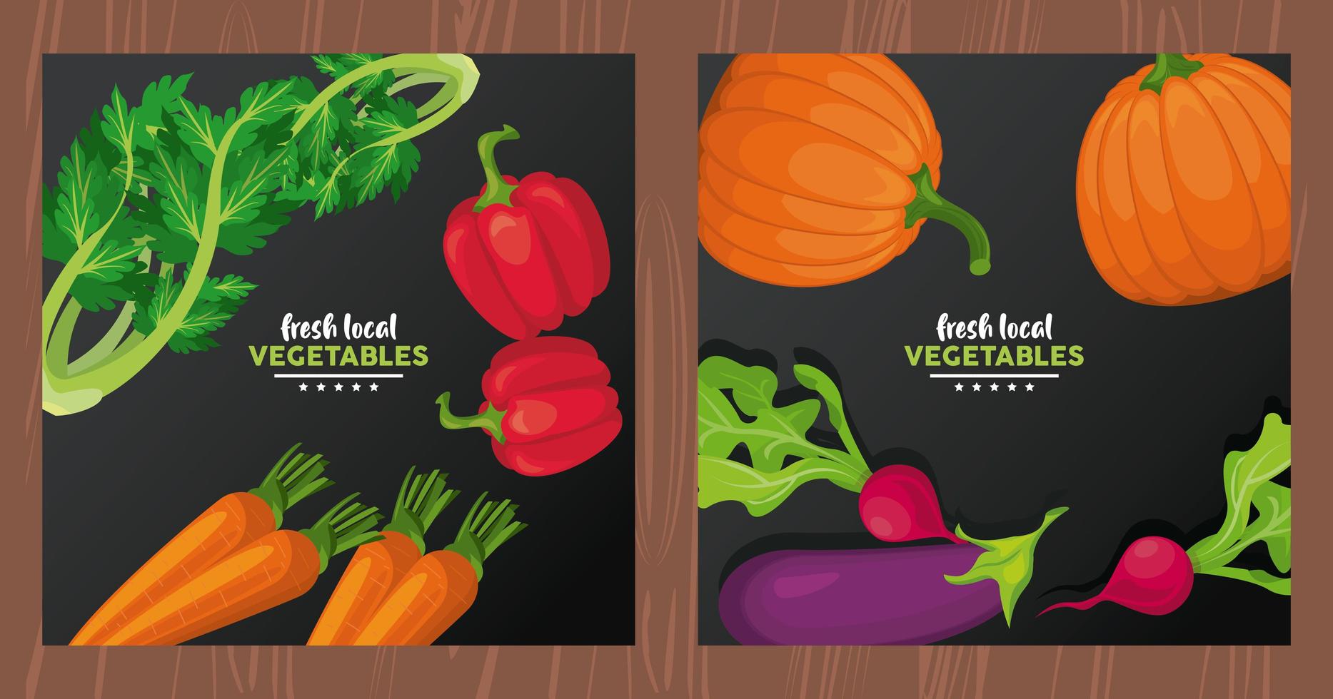 fresh local vegetables letterings in color black backgrounds vector