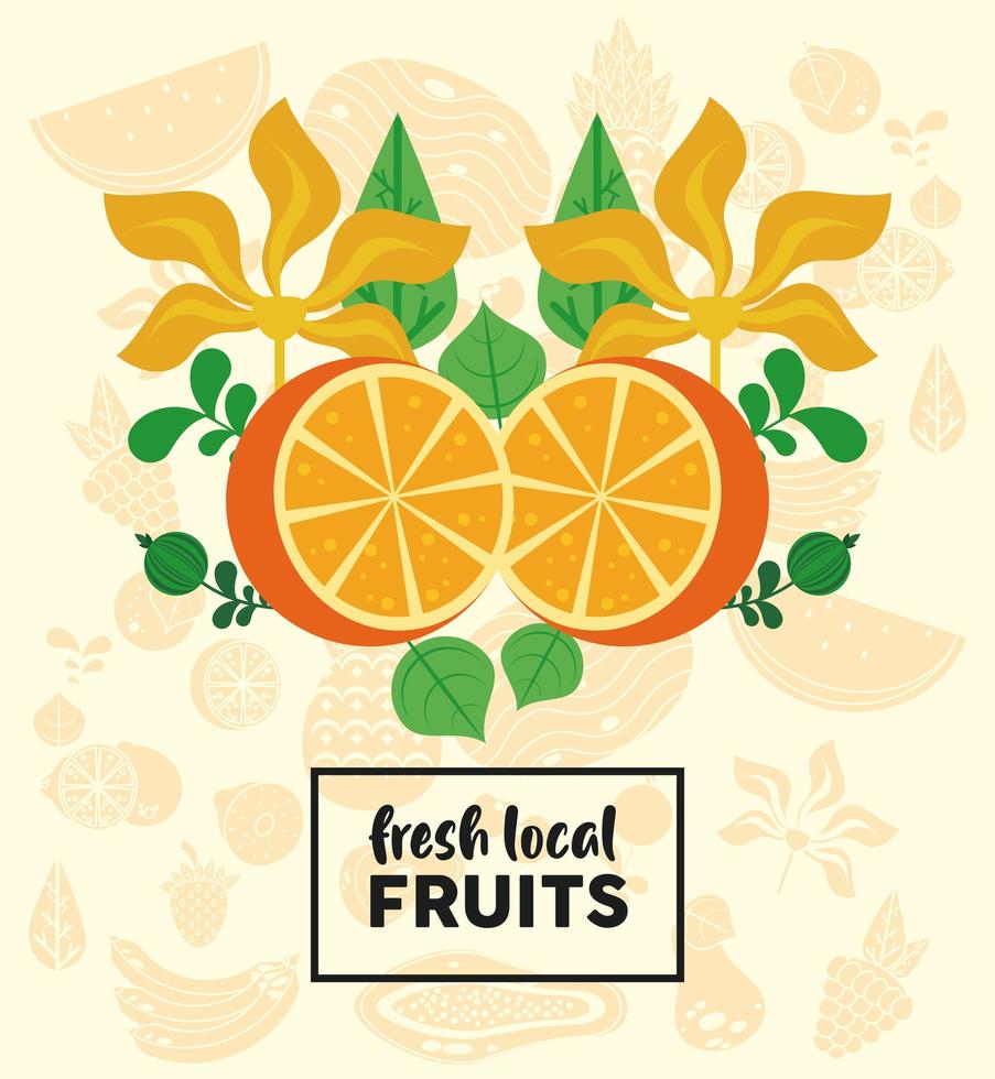 fresh local fruits lettering with oranges and leafs vector