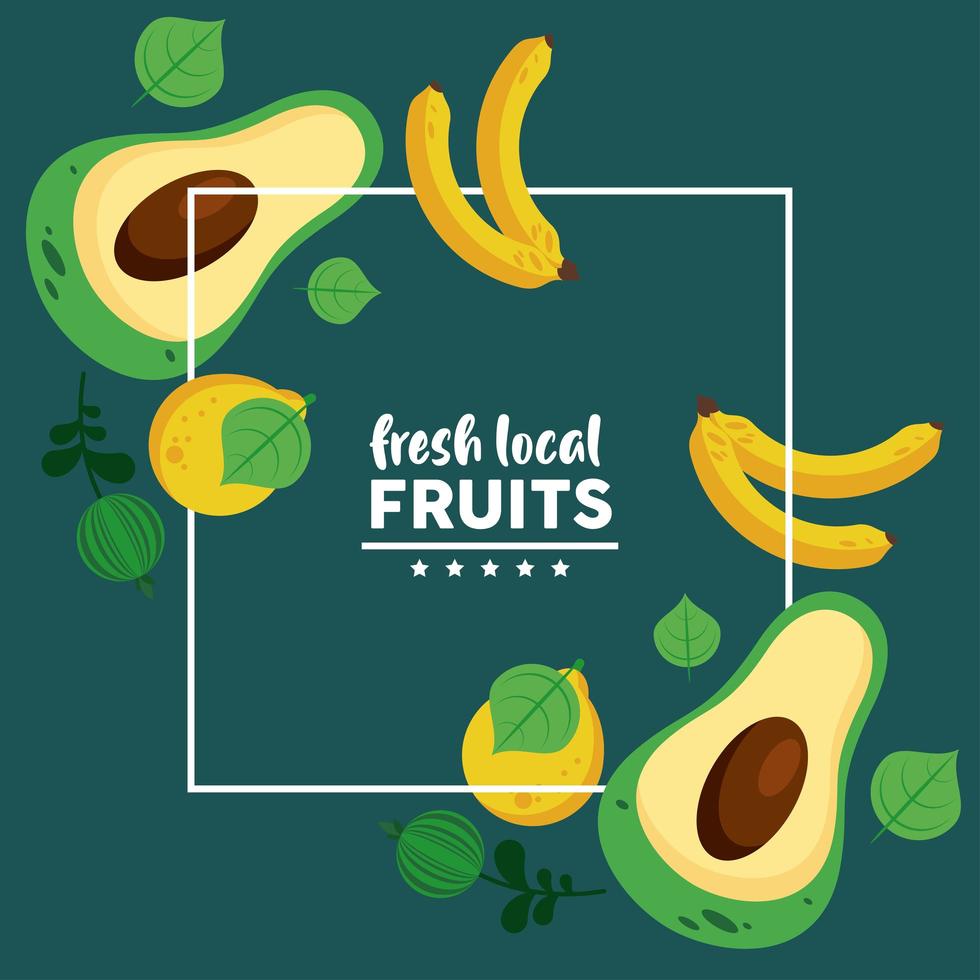 Frutas locales frescas con plátanos y aguacates en fondo verde vector