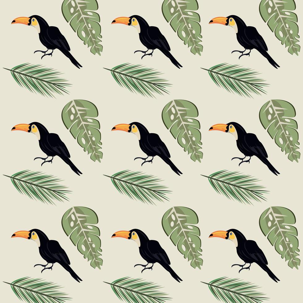 wild toucans birds and leafs plants pattern background vector