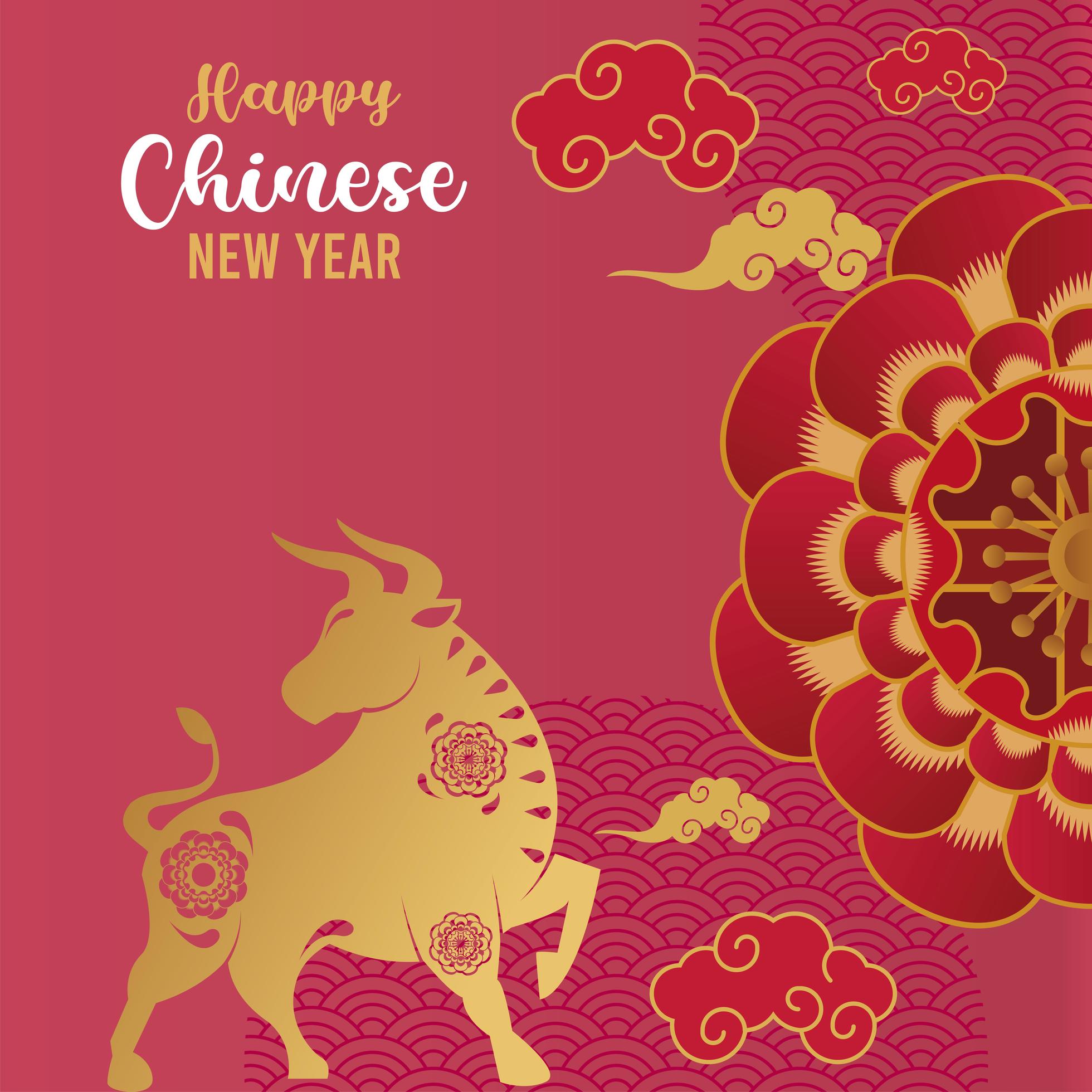 happy chinese new year lettering card with golden ox and red lace