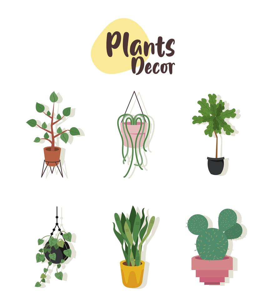 paquete de seis plantas caseras en macetas de cerámica, decoración y letras vector