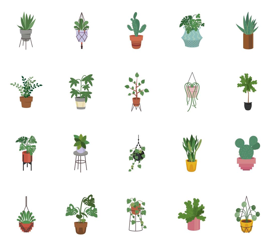 bundle of twenty home plants in ceramic pots decor vector