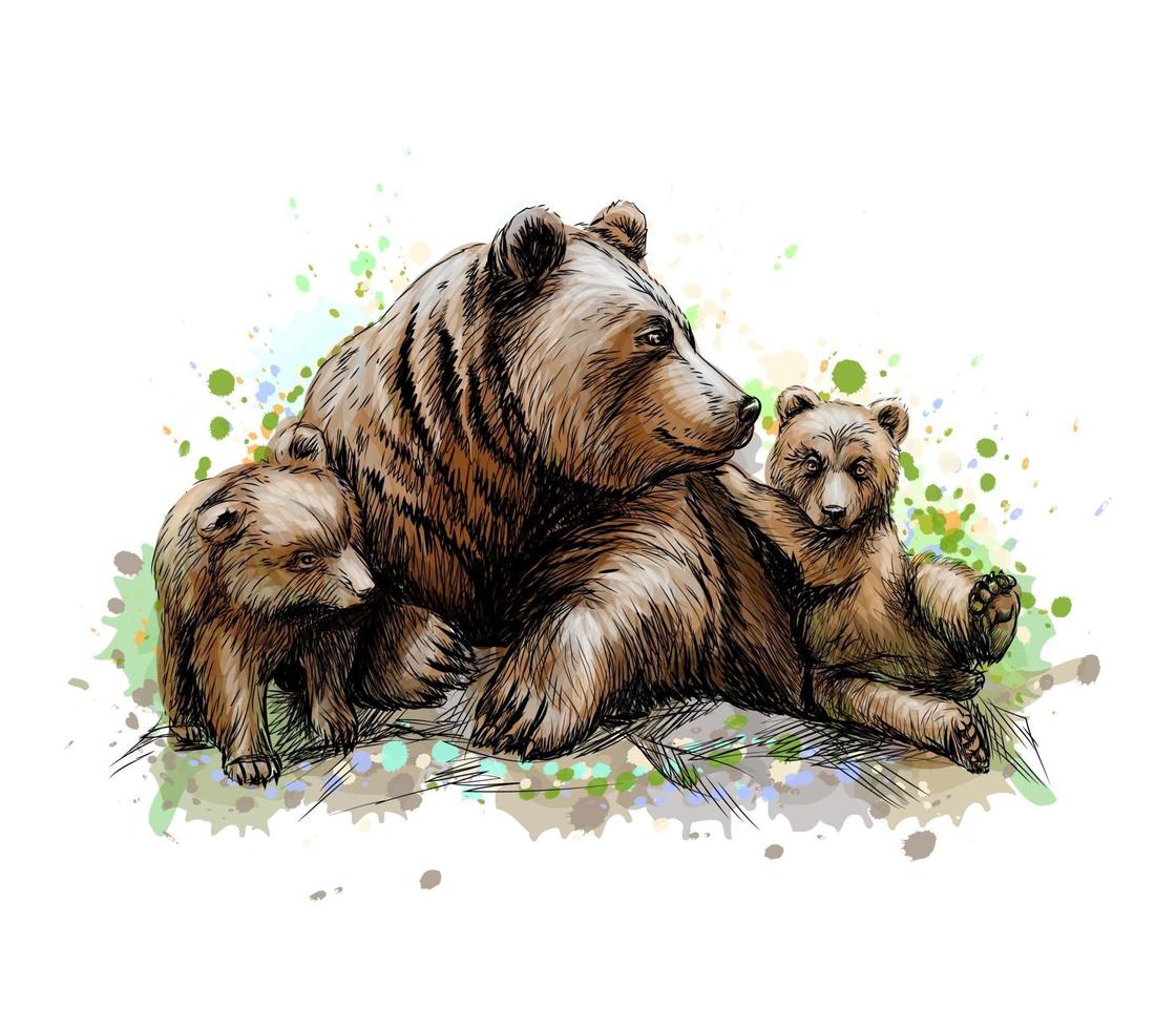 Brown mother bear with her cubs from a splash of watercolor hand drawn sketch Vector illustration of paints