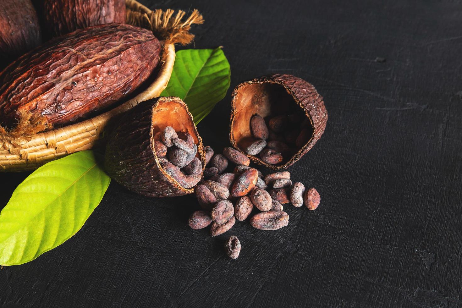 Dried cocoa and cocoa beans photo