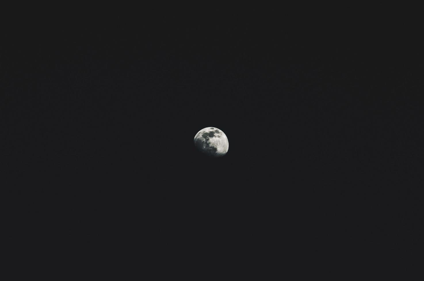 Gray moon closeup in the dark sky photo