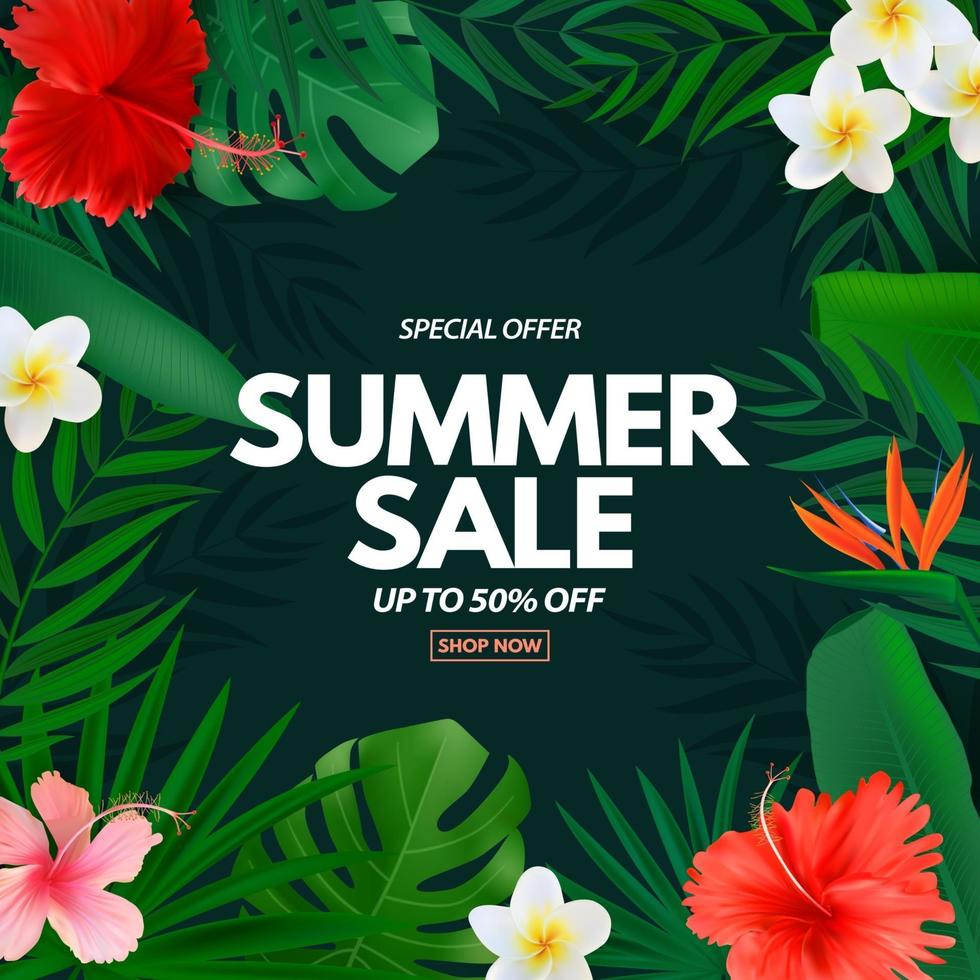 Summer sale poster Natural Background with Tropical Palm and Monstera Leaves exotic flower vector