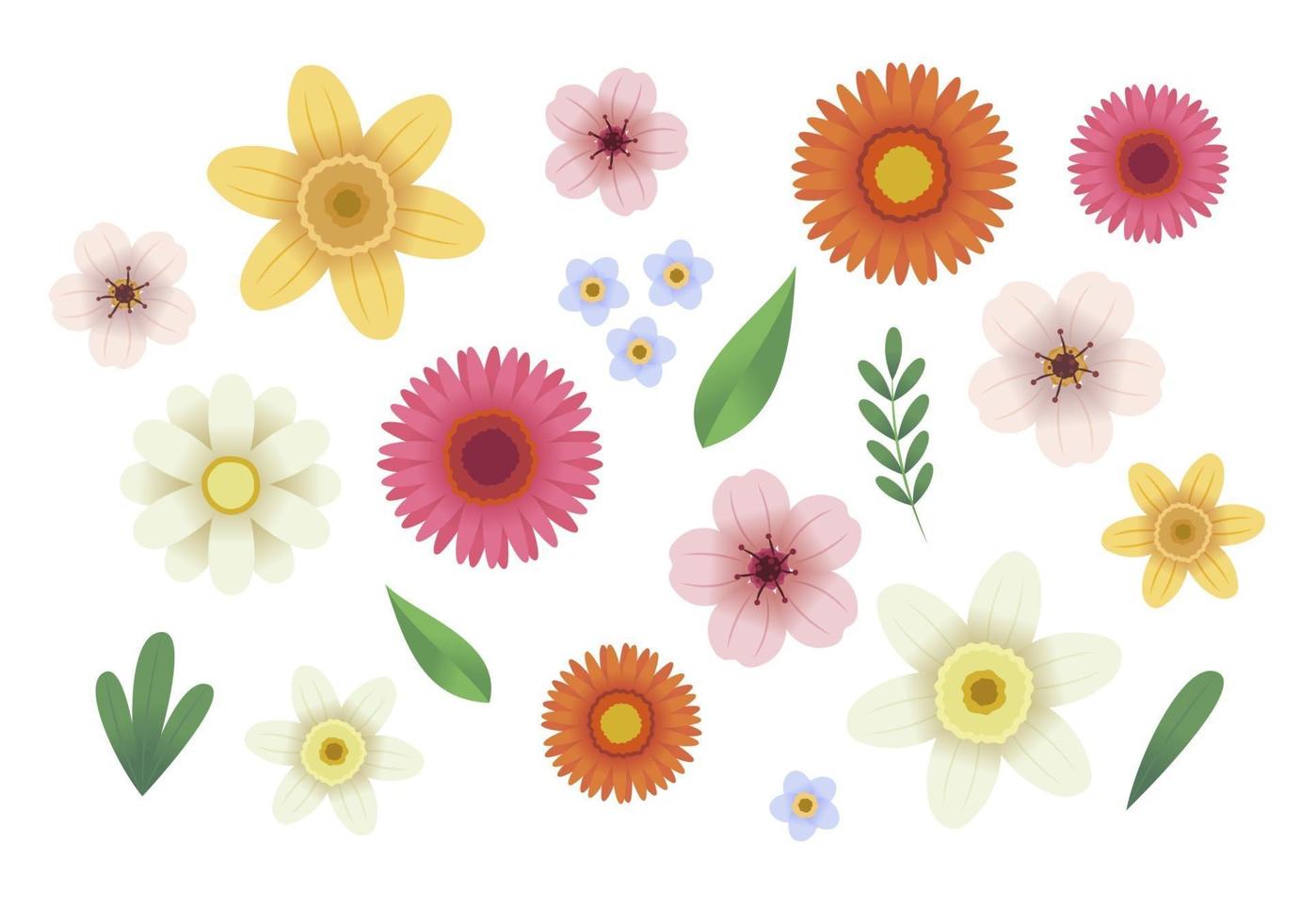 Flowers collection Vector illustration in flat style template for design
