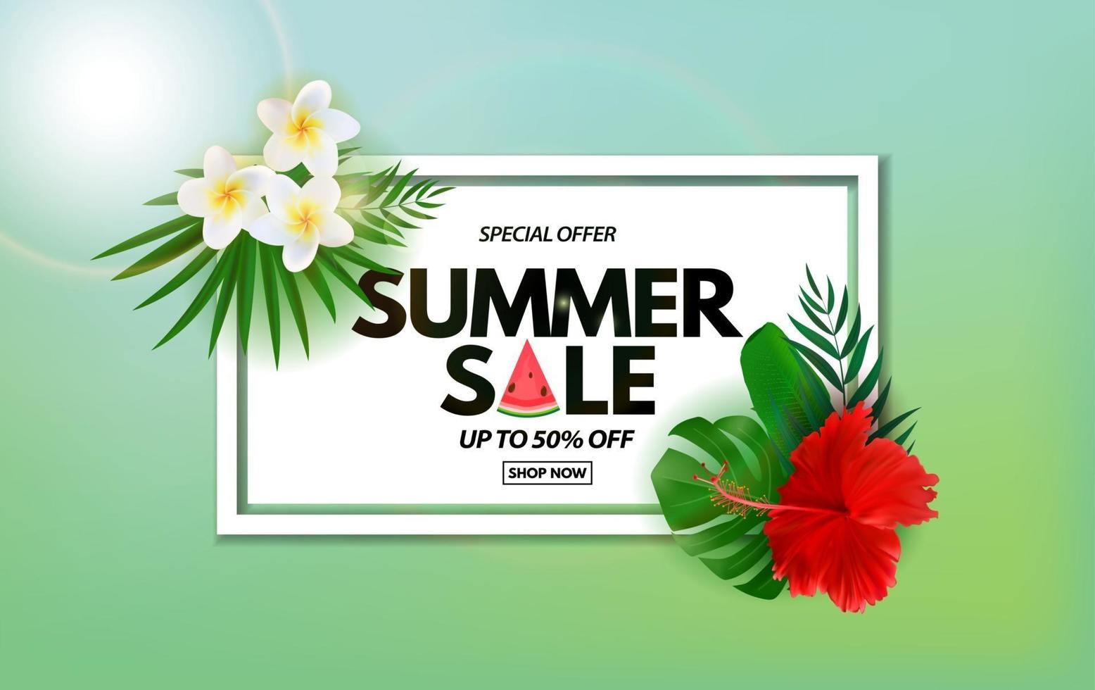 Summer sale poster Natural Background with Tropical Palm and Monstera Leaves exotic flower vector