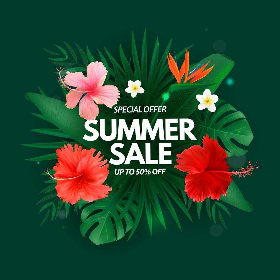 Summer sale poster Natural Background with Tropical Palm and Monstera Leaves exotic flower vector