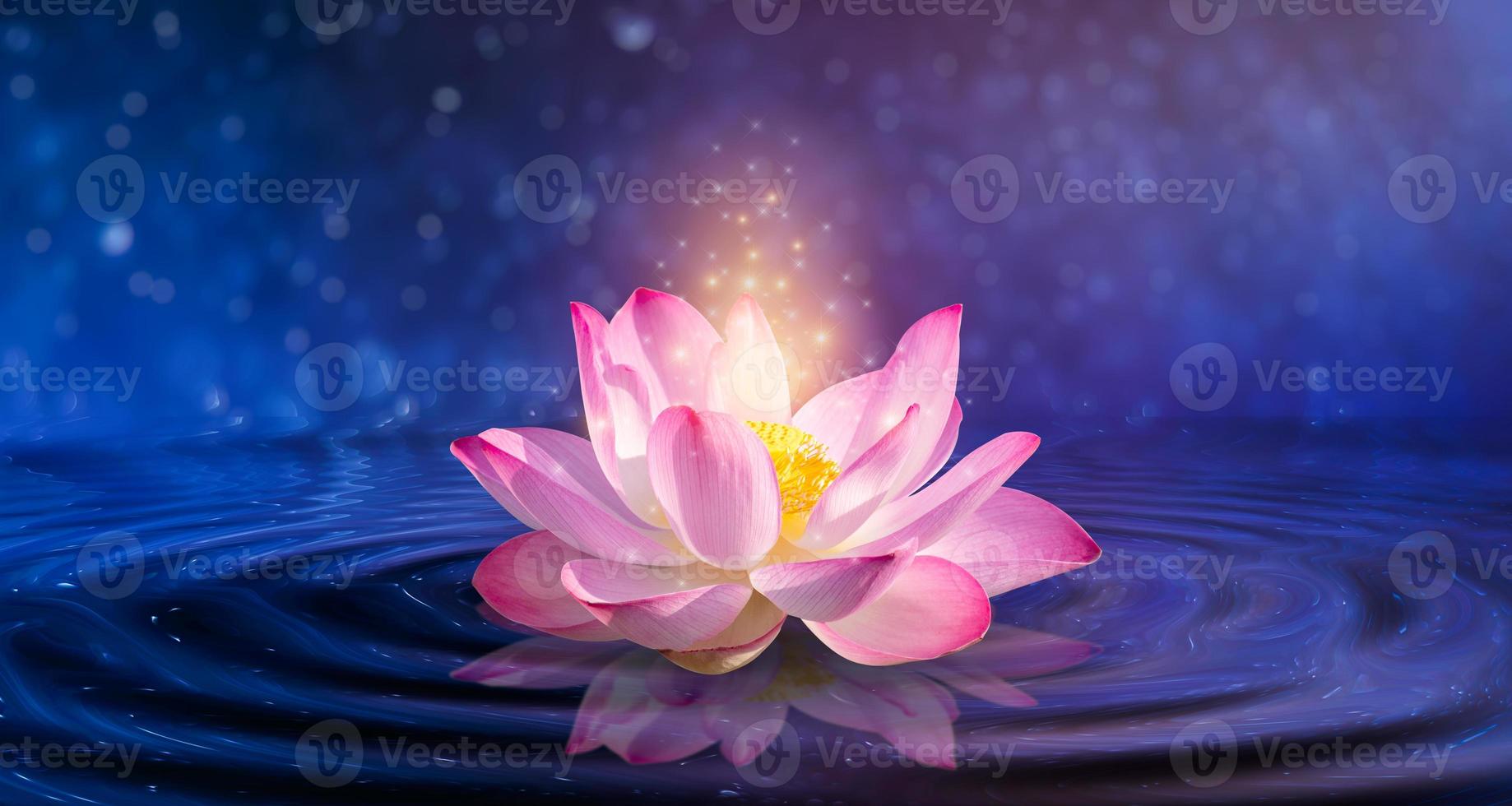 Blooming pink lotus flower isolated on sparkled purple background photo