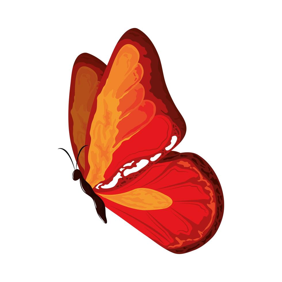 mariposa de acuarela pintada vector