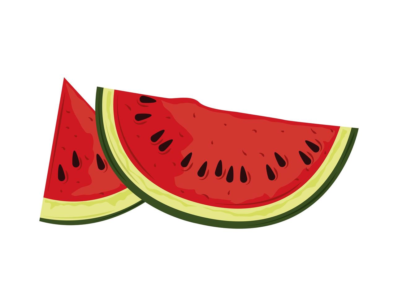 slice watermelon fruit vector