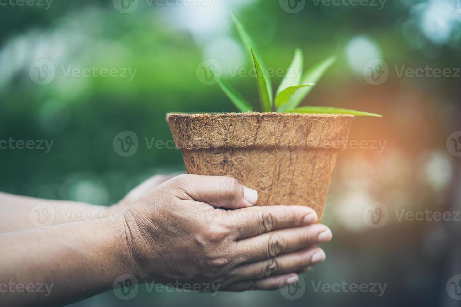 Asian woman holding tree in recycle flowerpot in garden at home concept of save earth and the environment world earth day photo
