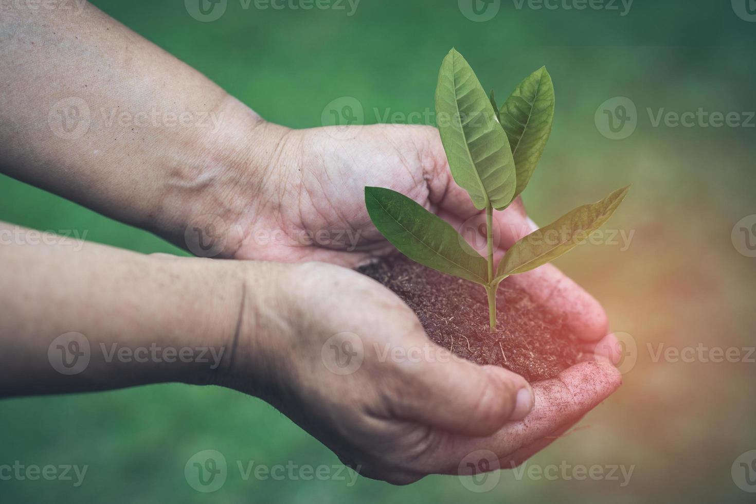 Asian woman holding peat moss organic matter improve soil for horticultural plant growing photo