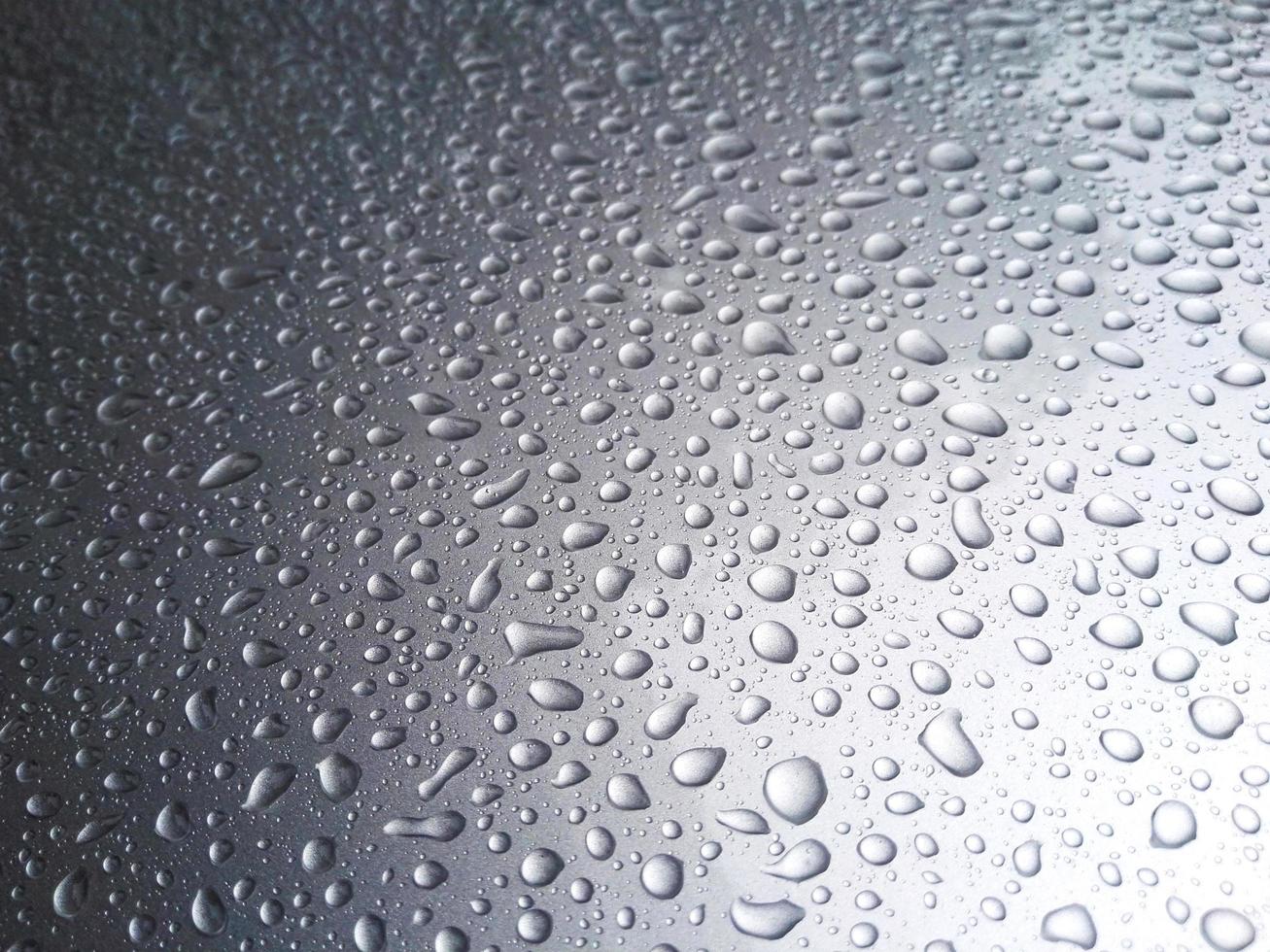 gota de rocío de lluvia sobre fondo gris foto