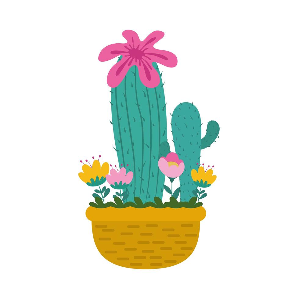 potted cactus flowers vector