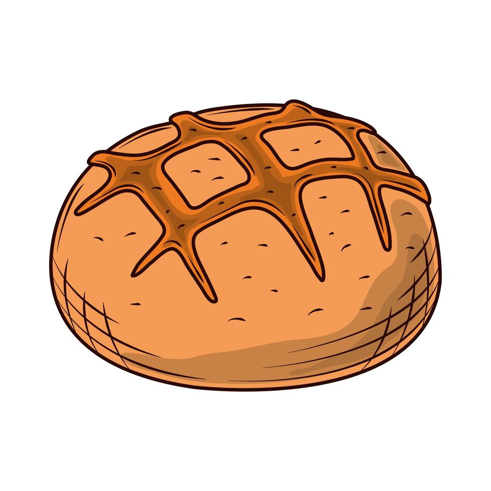 bread bun baked vector