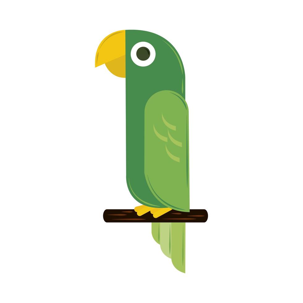 parrot cartoon geometric vector