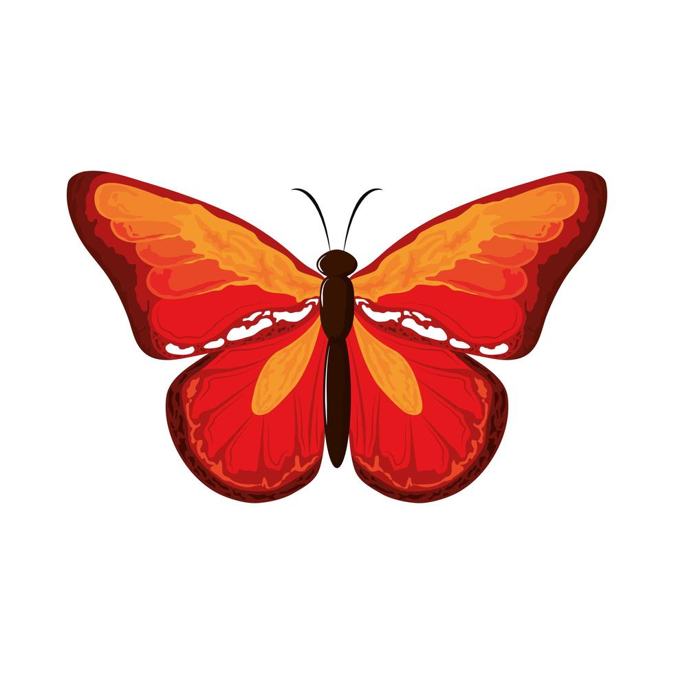 cute watercolor butterfly vector
