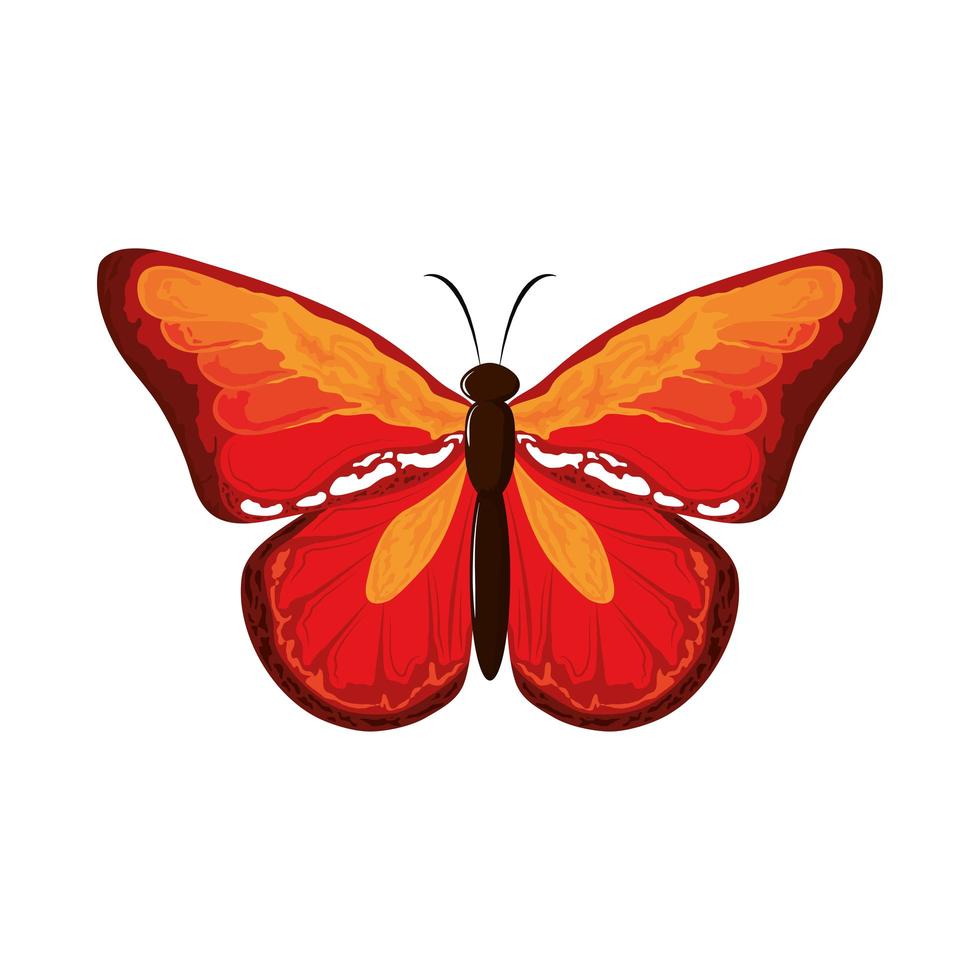 cute watercolor butterfly vector