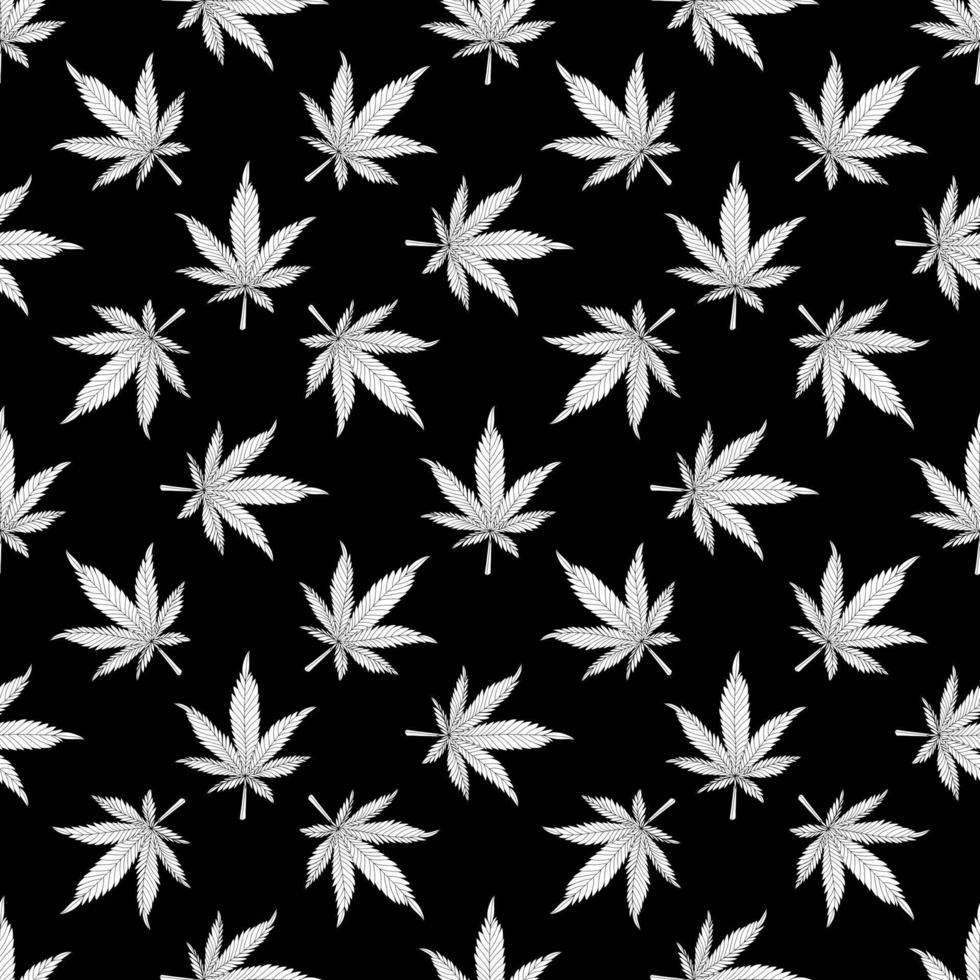 patrón sin fisuras de cannabis. hojas de cáñamo blanco sobre un fondo negro. Ilustración de vector de patrón de marihuana