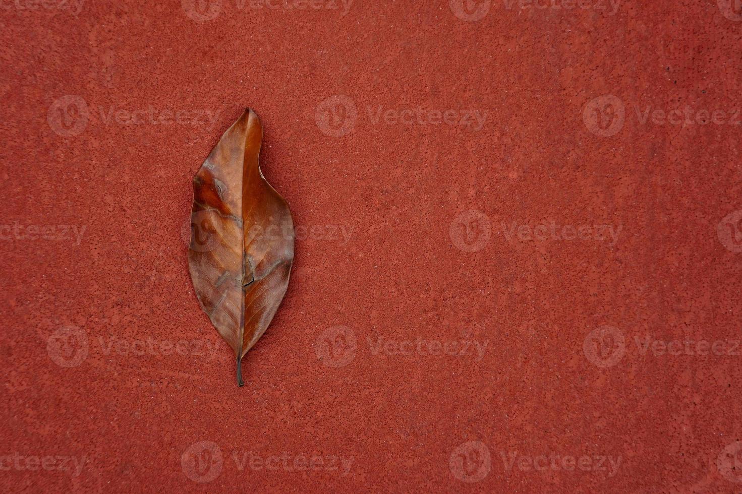 hoja marrón en la temporada de otoño foto